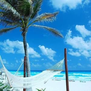 Meet your Posher, Eve